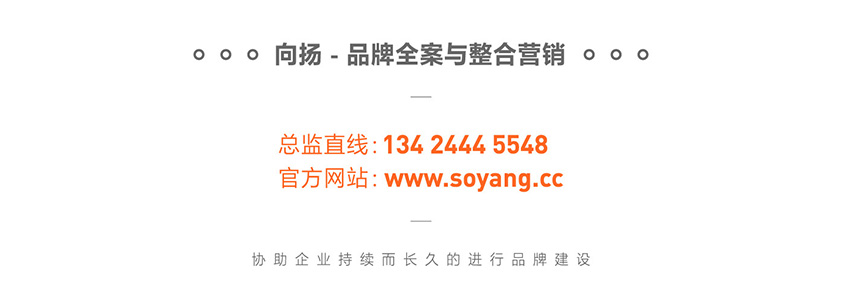 向揚品牌策劃.jpg
