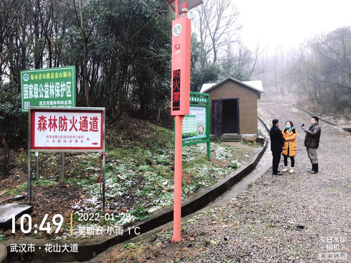 武漢織密森林“防火網”!千余護林員每日巡查 智能攝像頭監控90萬畝生態林