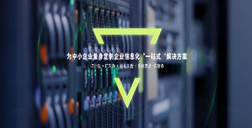 服務器運維外包_it運維外包_it外包服務合同模板.企業(yè)it服務合同