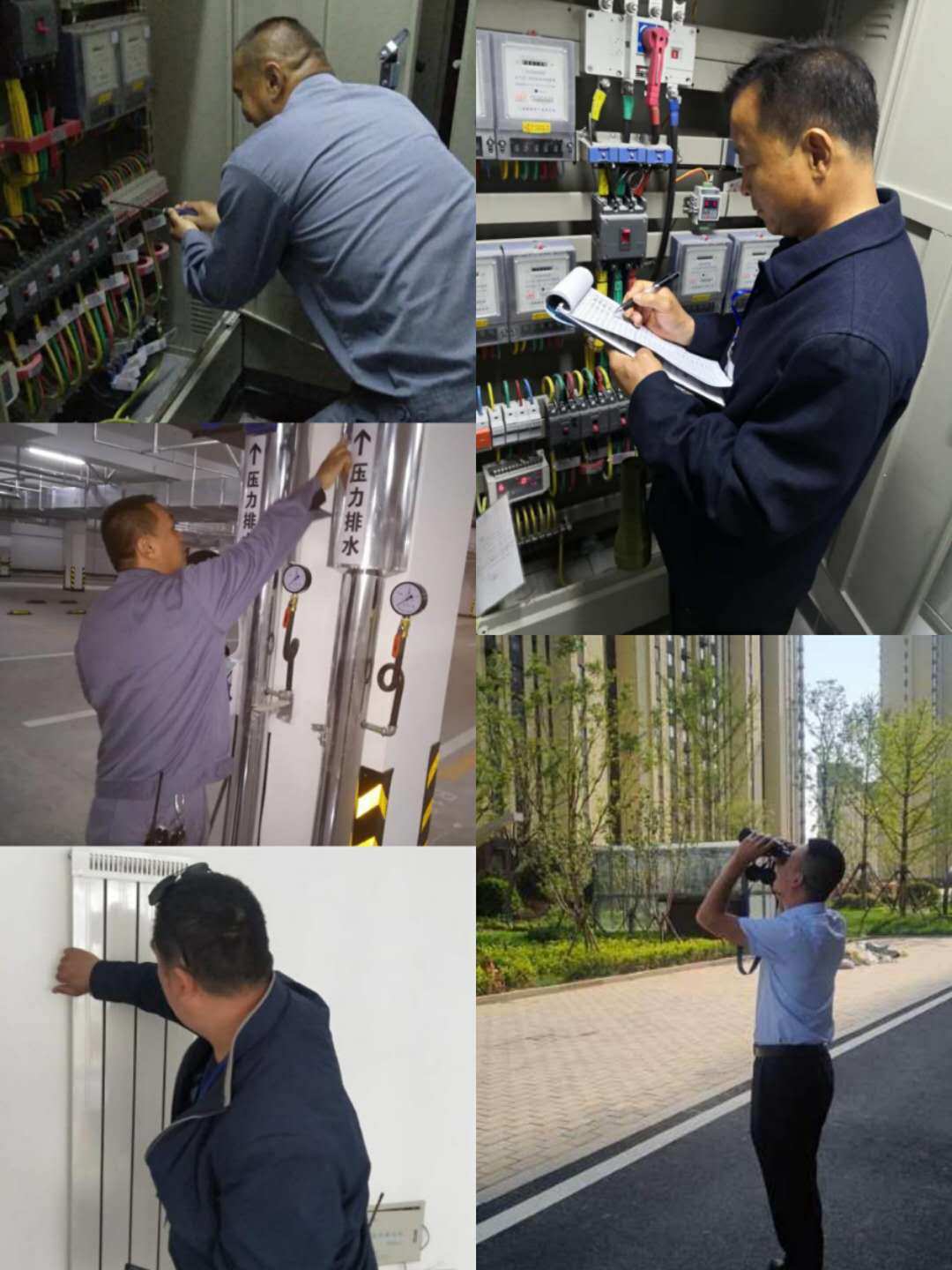 it技術(shù)宅技術(shù)_it技術(shù)團隊工作氛圍_it技術(shù)員